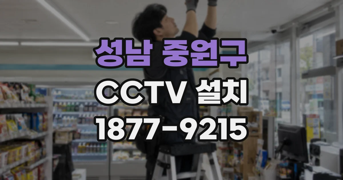 성남 중원구 CCTV 설치
