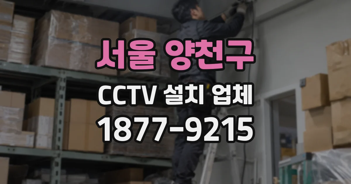 서울 양천구 CCTV 설치 업체
