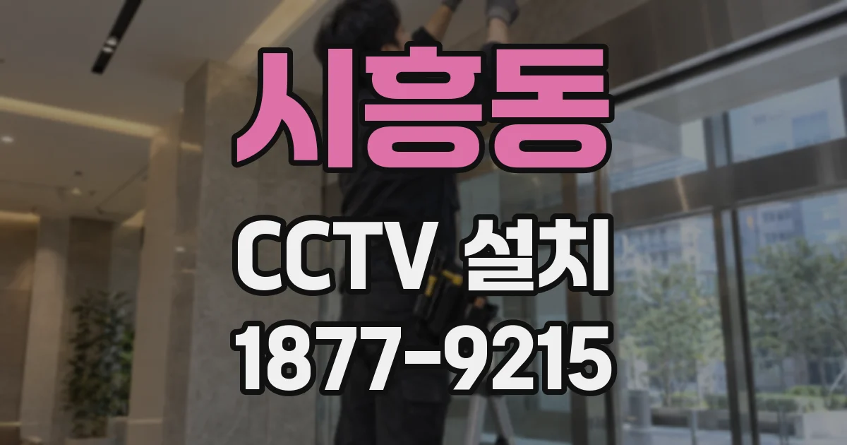 시흥동 CCTV 설치