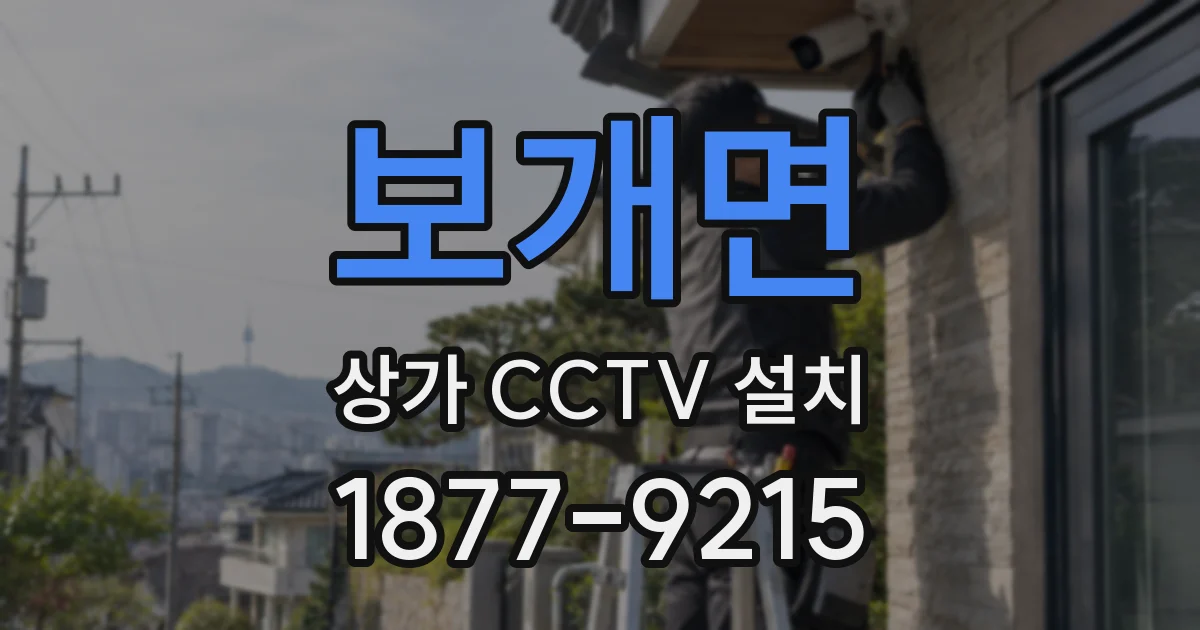 보개면 상가 CCTV 설치