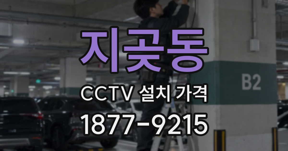 지곶동 CCTV 설치 가격