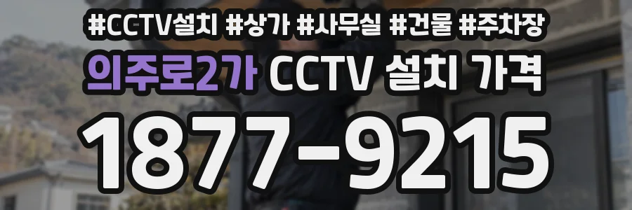 의주로2가 CCTV 설치 가격