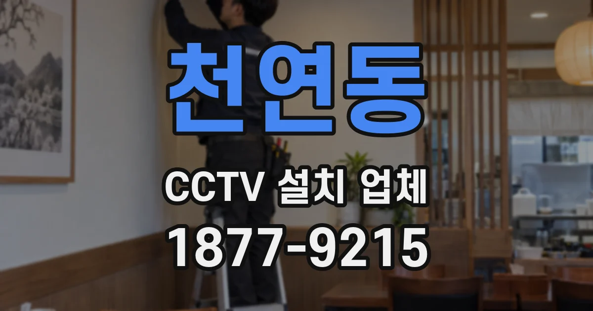 천연동 CCTV 설치 업체