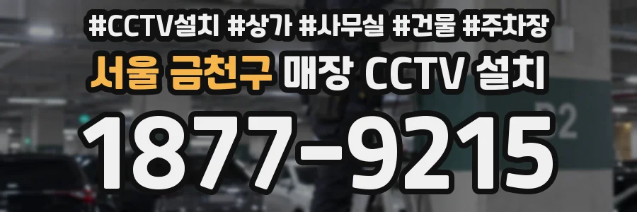 서울 금천구 매장 CCTV 설치