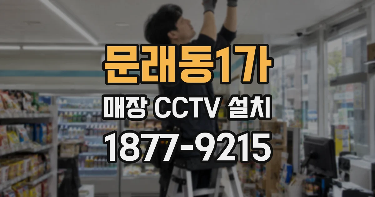 문래동1가 매장 CCTV 설치