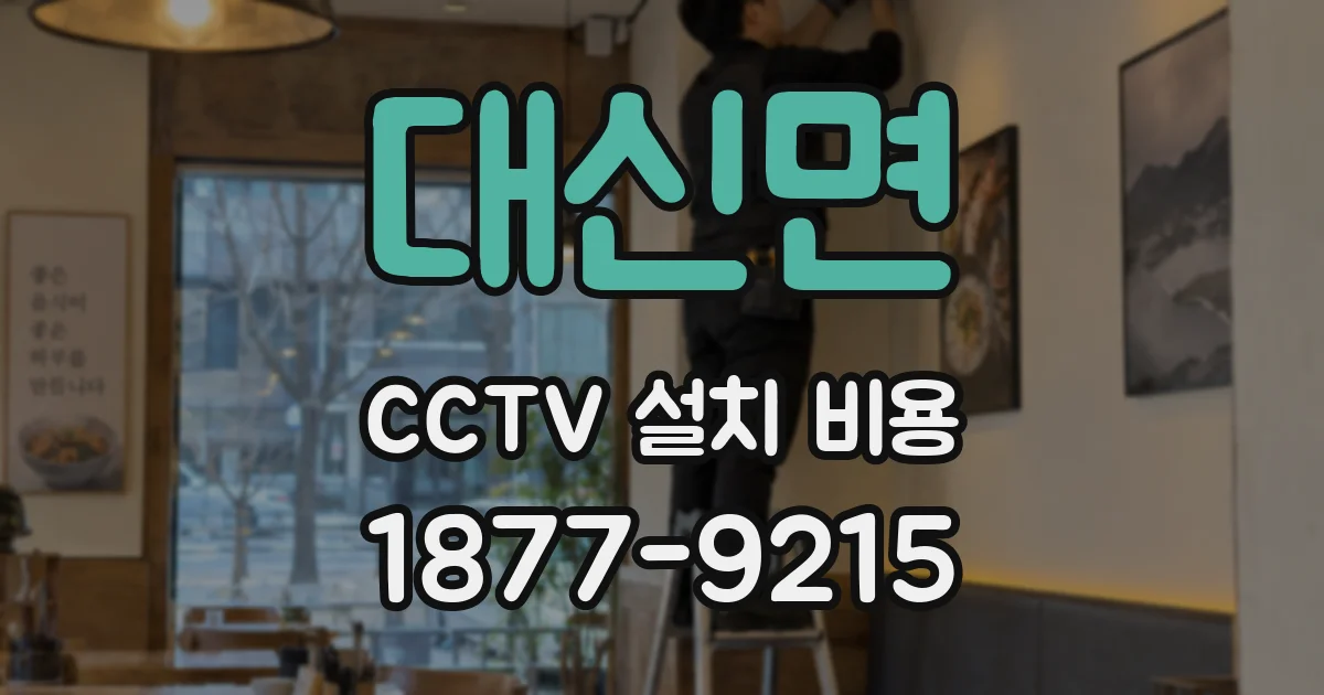 대신면 CCTV 설치 비용