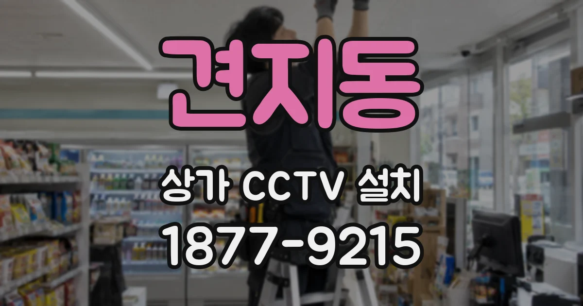 견지동 상가 CCTV 설치