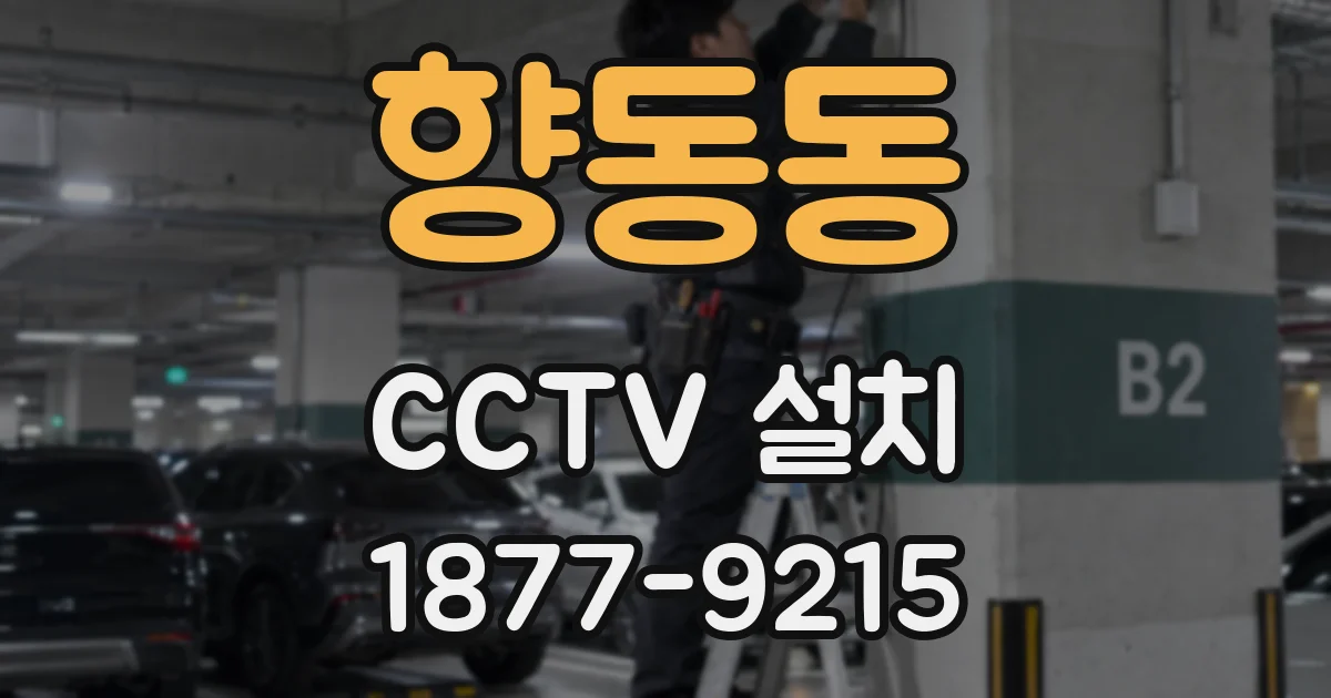 향동동 CCTV 설치