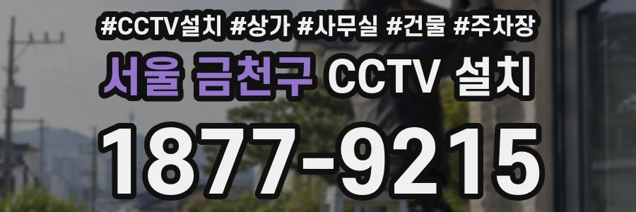 서울 금천구 CCTV 설치