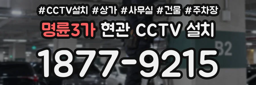 명륜3가 현관 CCTV 설치