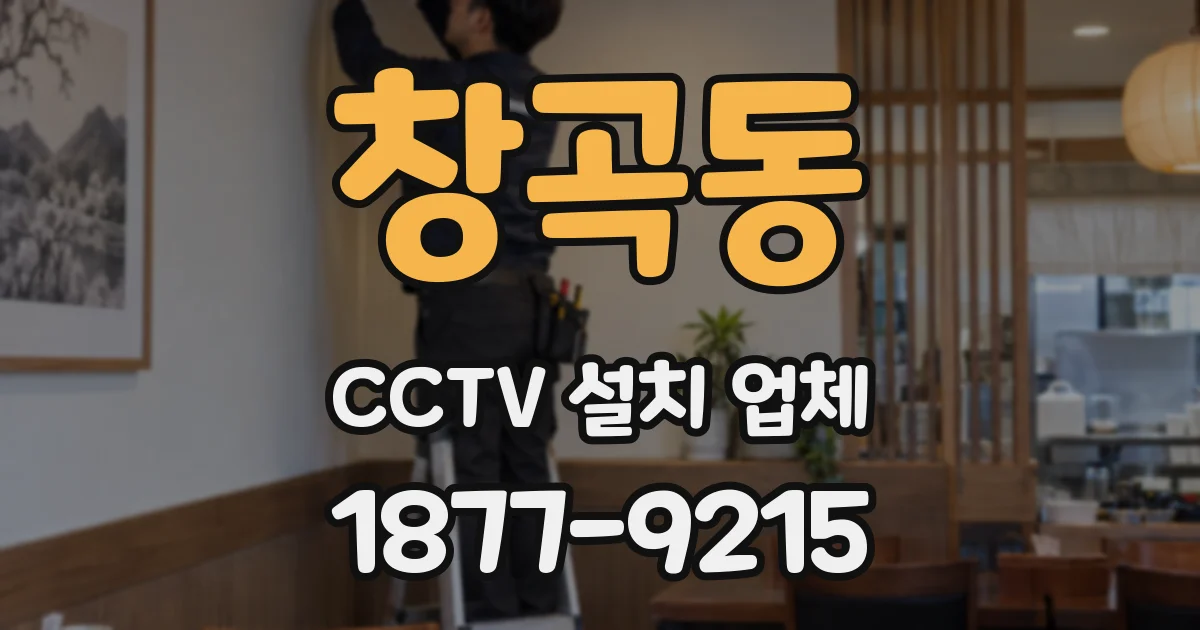 창곡동 CCTV 설치 업체