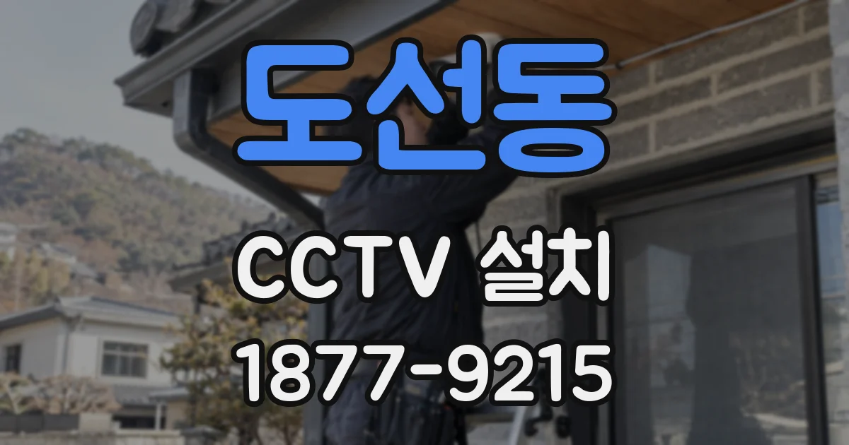 도선동 CCTV 설치