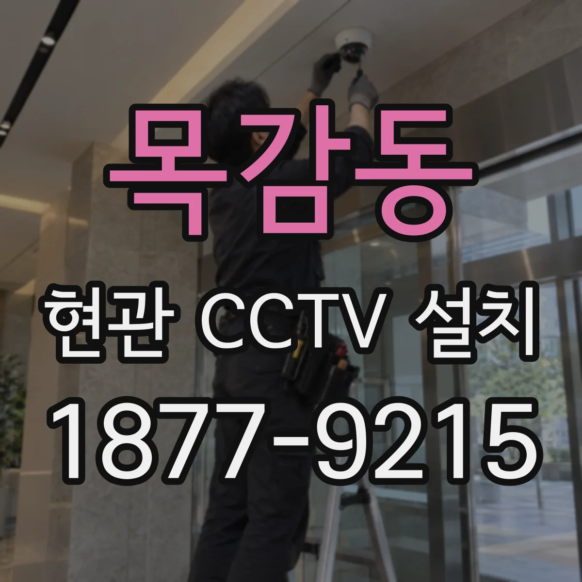 목감동 현관 CCTV 설치