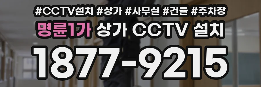 명륜1가 상가 CCTV 설치