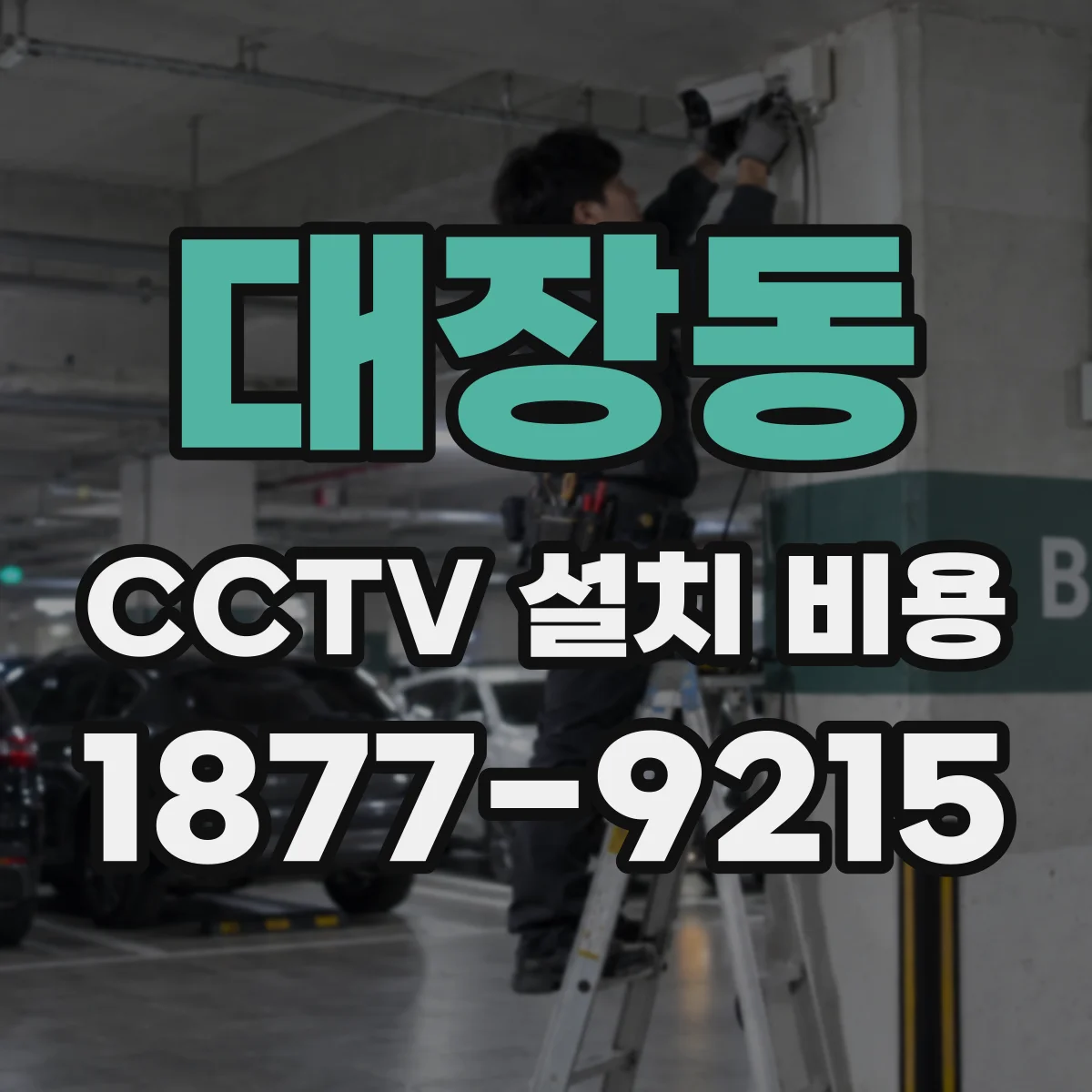 대장동 CCTV 설치 비용
