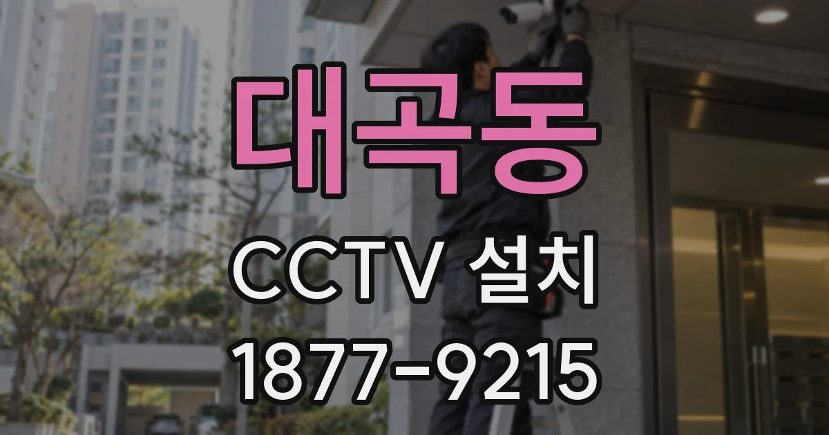 대곡동 CCTV 설치