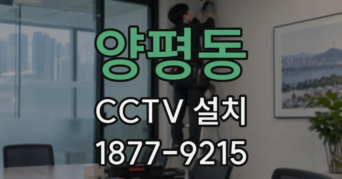 양평동 CCTV 설치