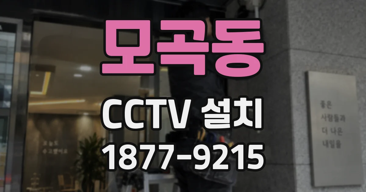 모곡동 CCTV 설치