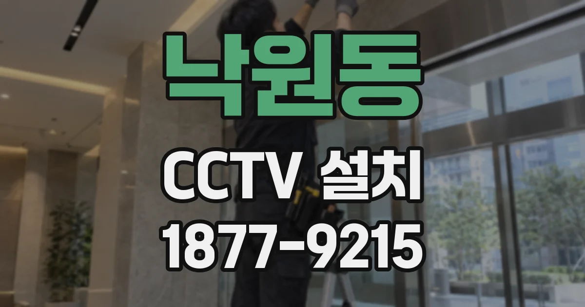 낙원동 CCTV 설치