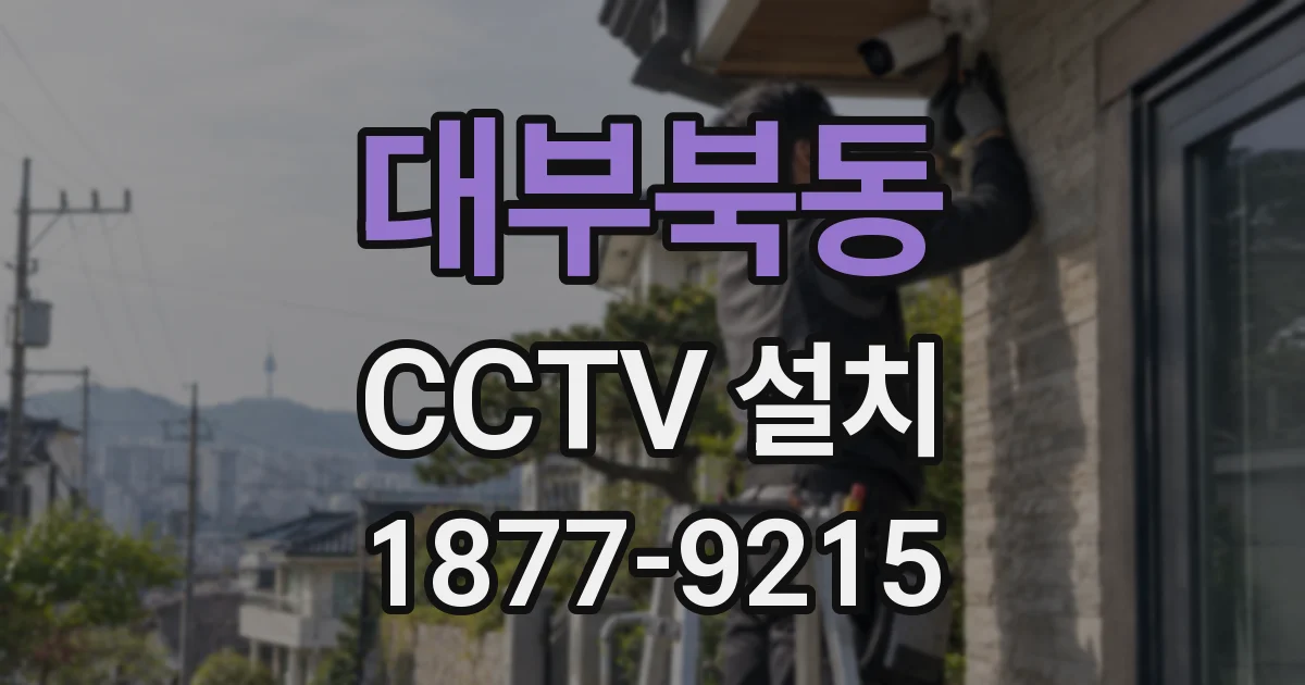 대부북동 CCTV 설치