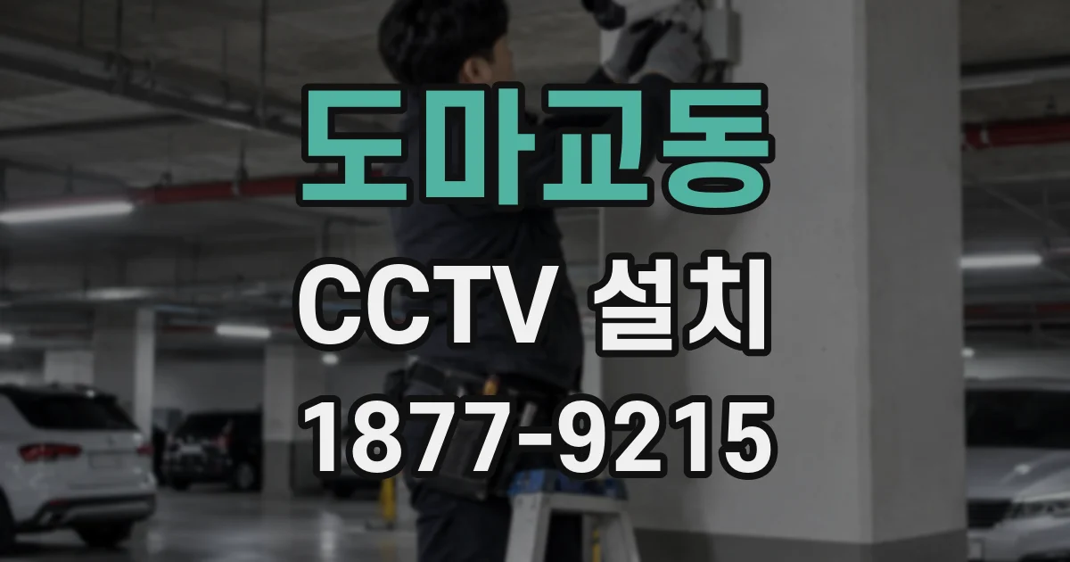 도마교동 CCTV 설치