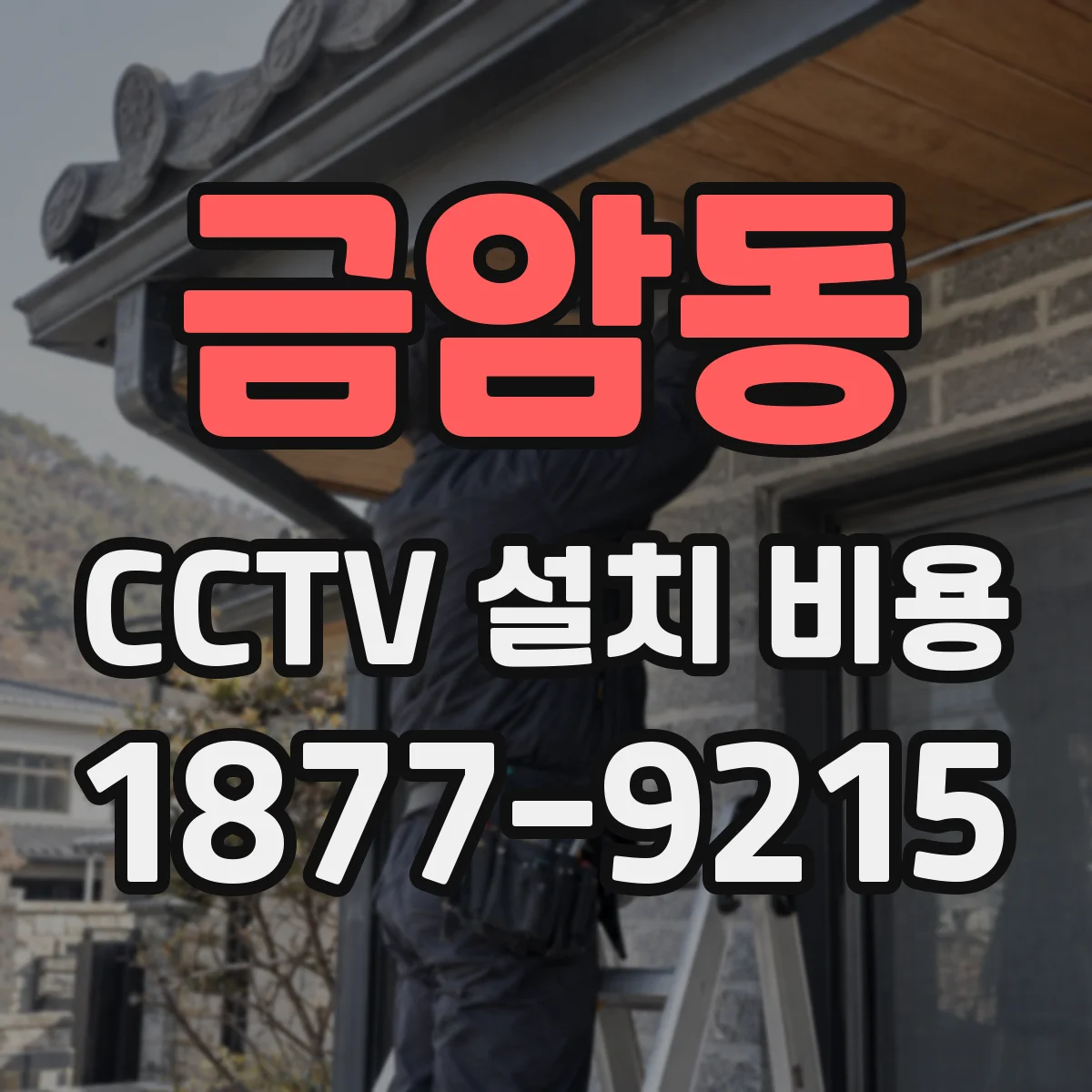 금암동 CCTV 설치 비용