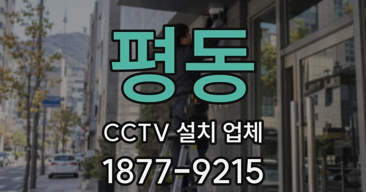평동 CCTV 설치 업체