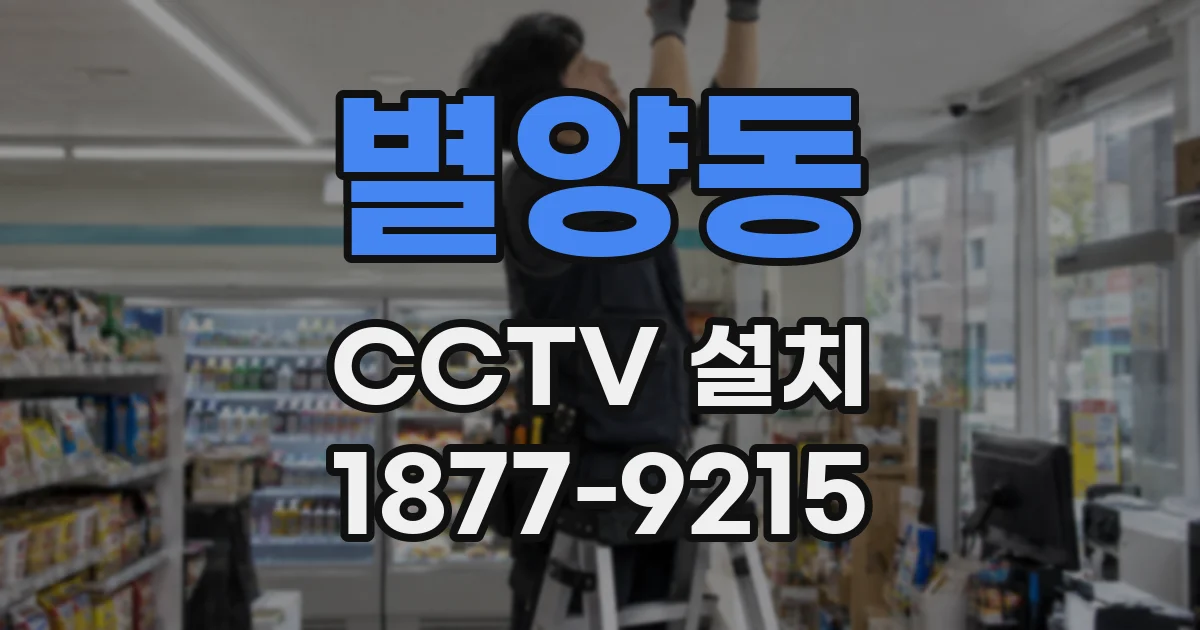 별양동 CCTV 설치
