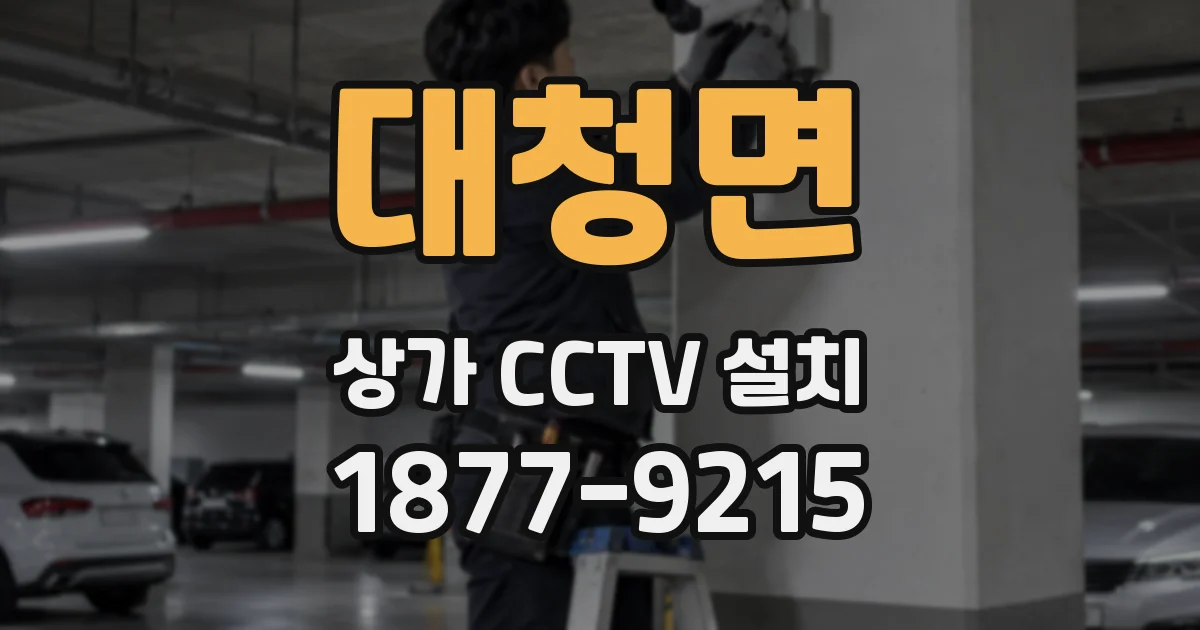 대청면 상가 CCTV 설치