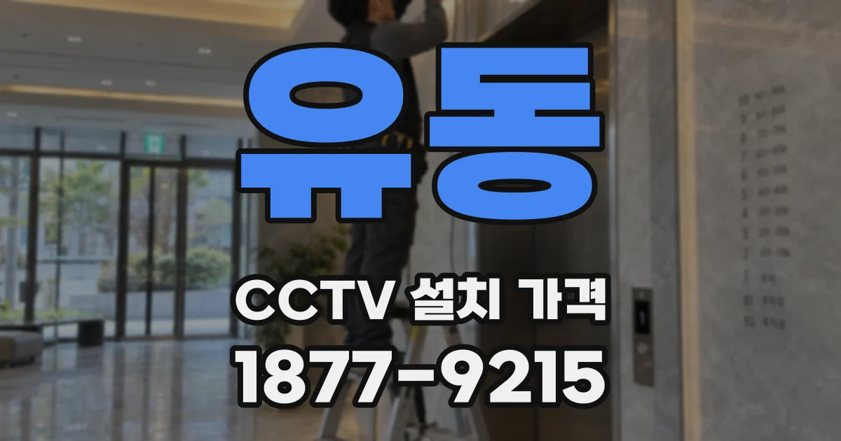 유동 CCTV 설치 가격