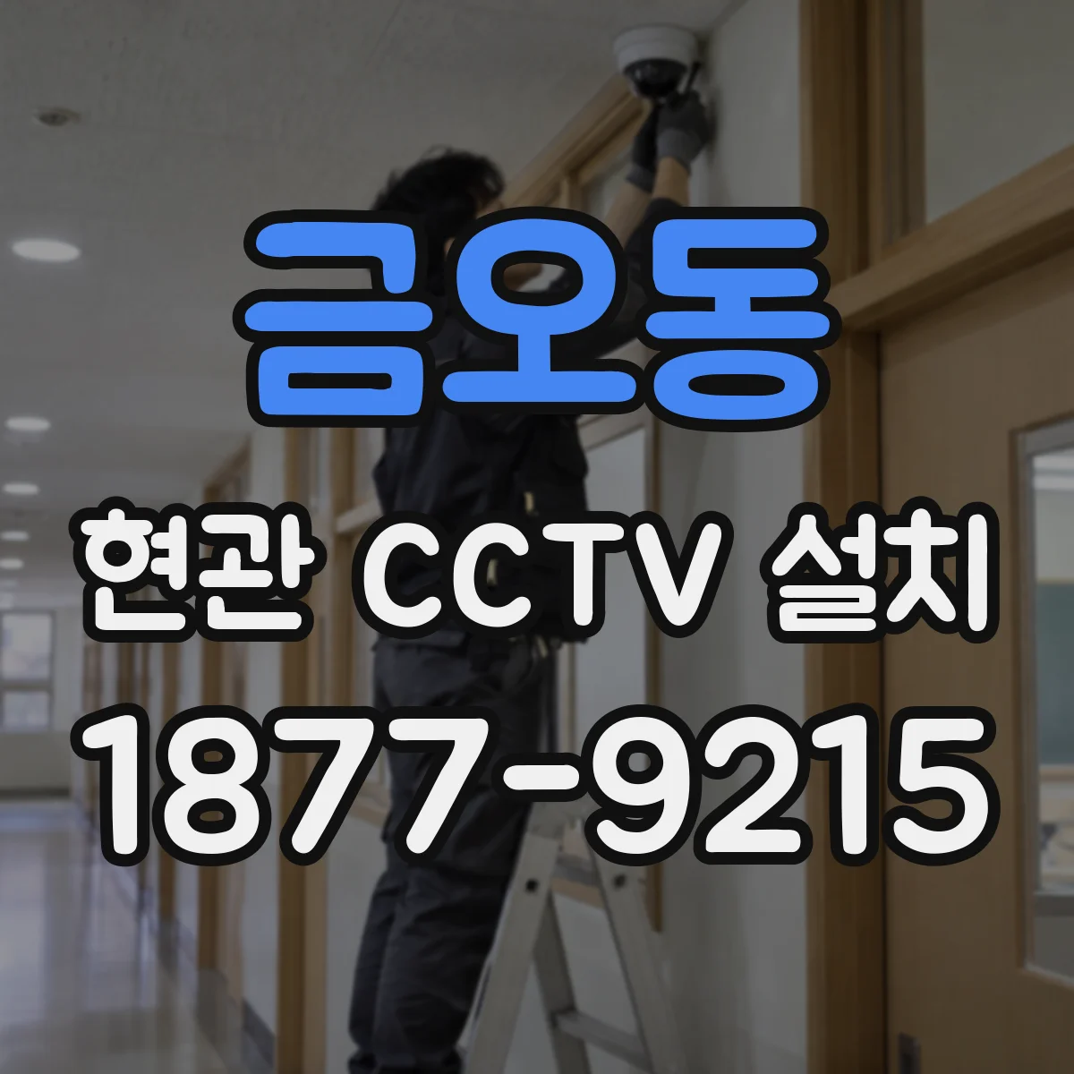 금오동 현관 CCTV 설치