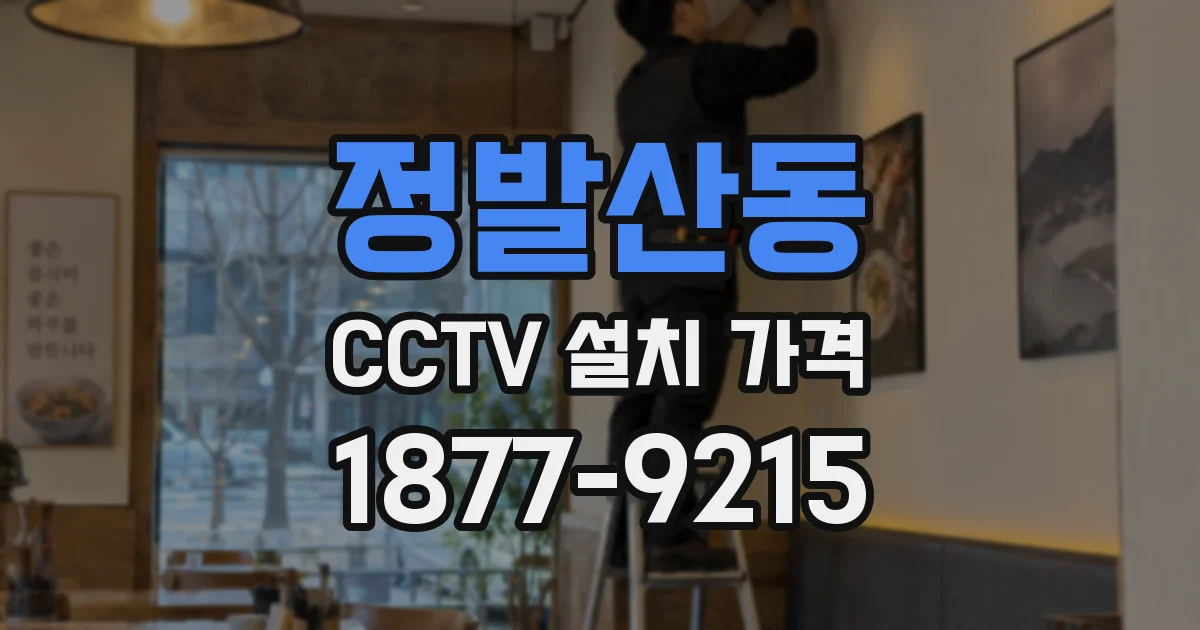 정발산동 CCTV 설치 가격
