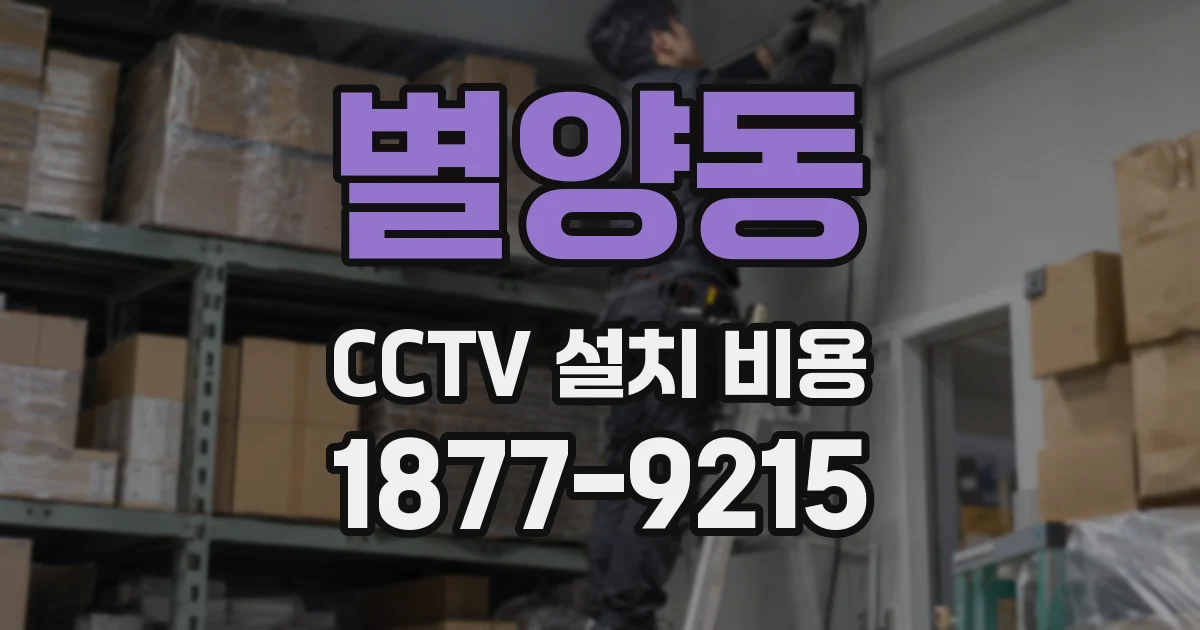 별양동 CCTV 설치 비용