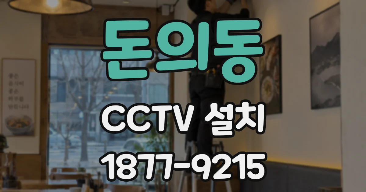 돈의동 CCTV 설치