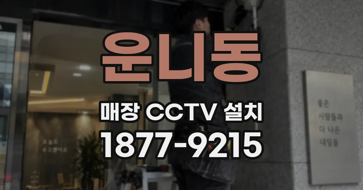 운니동 매장 CCTV 설치