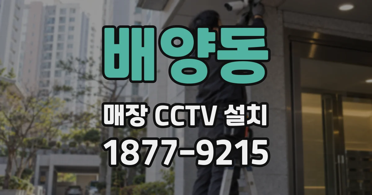 배양동 매장 CCTV 설치
