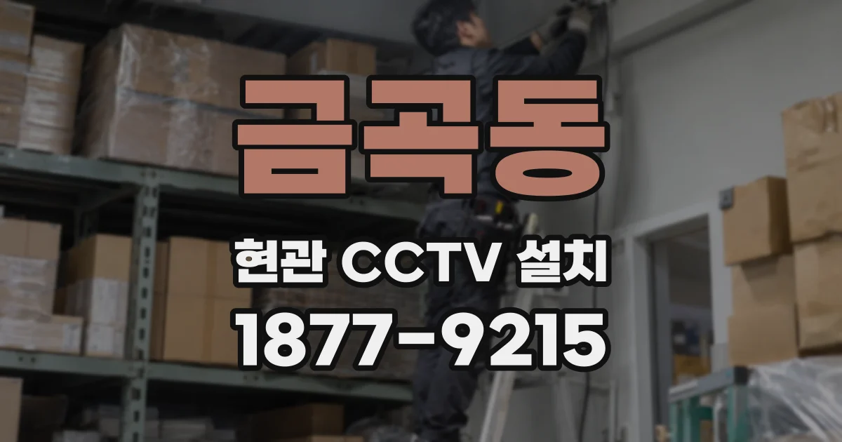 금곡동 현관 CCTV 설치
