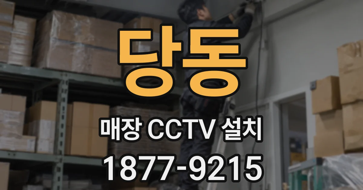 당동 매장 CCTV 설치