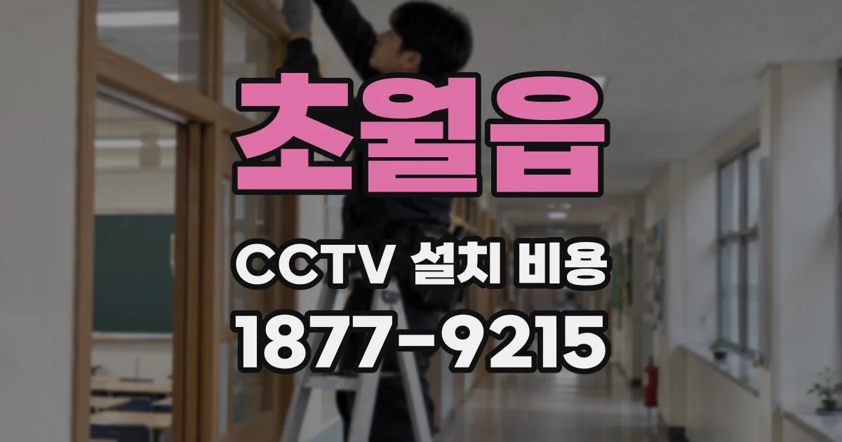 초월읍 CCTV 설치 비용
