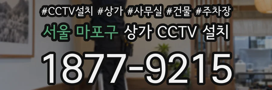 서울 마포구 상가 CCTV 설치