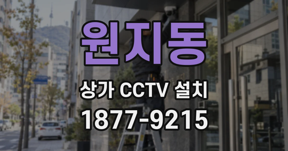 원지동 상가 CCTV 설치
