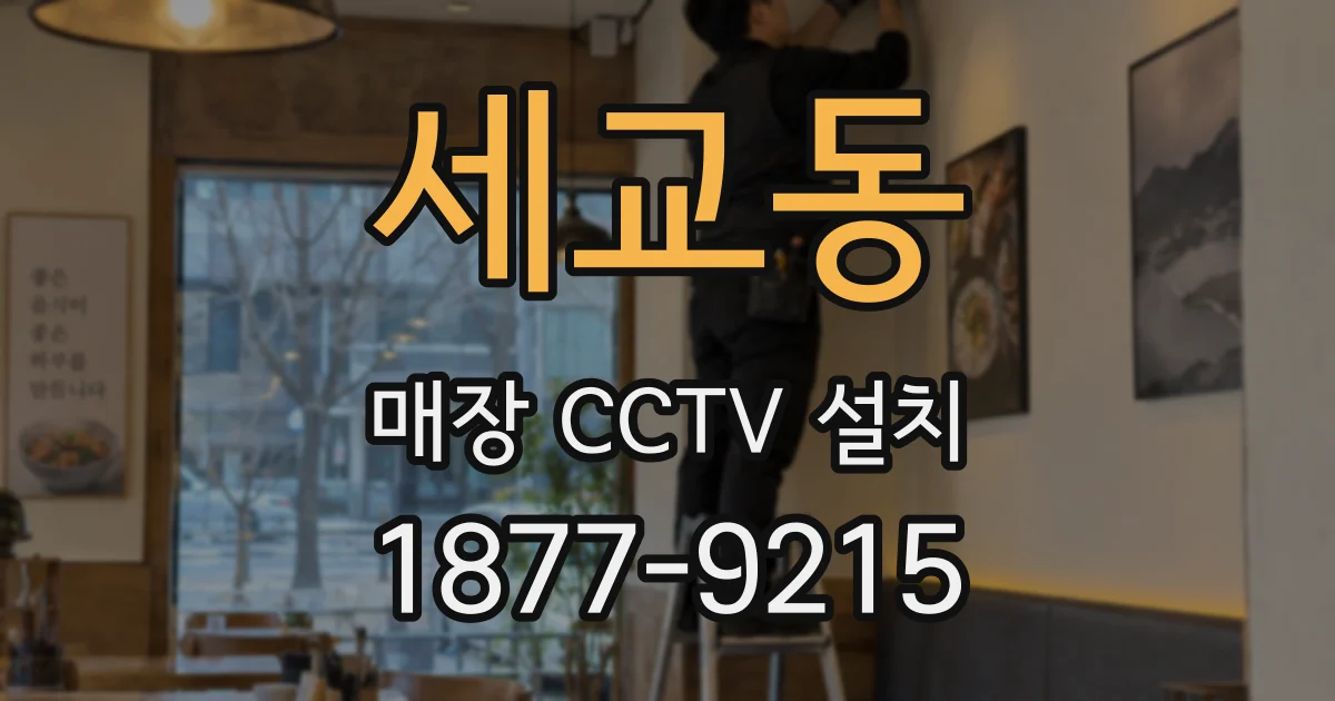 세교동 매장 CCTV 설치