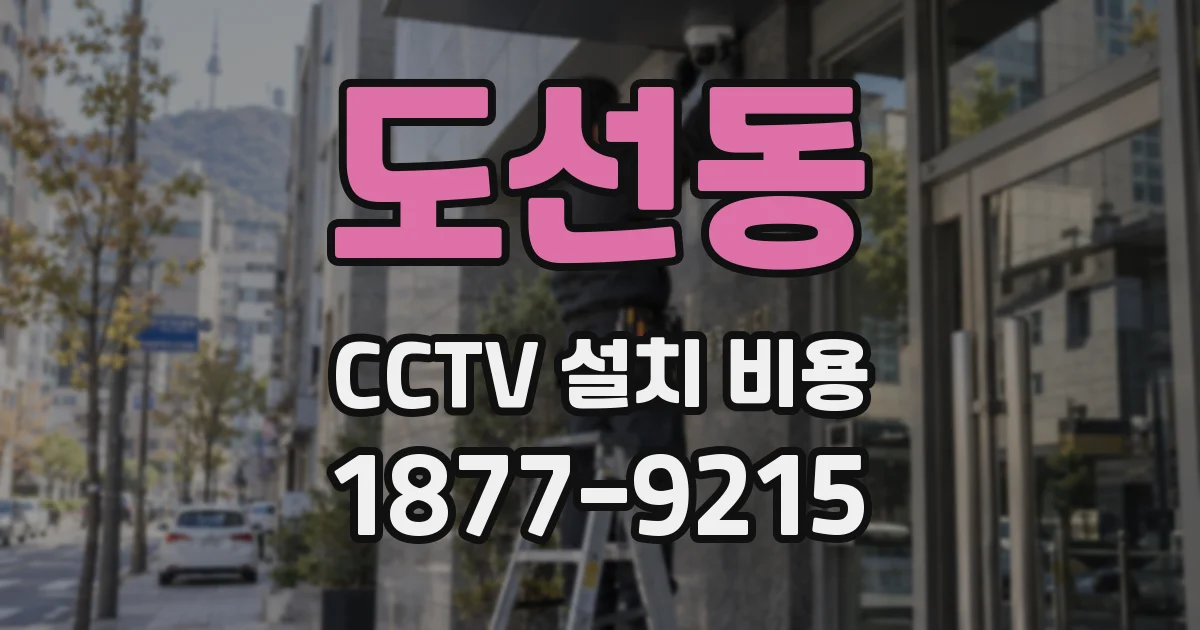 도선동 CCTV 설치 비용