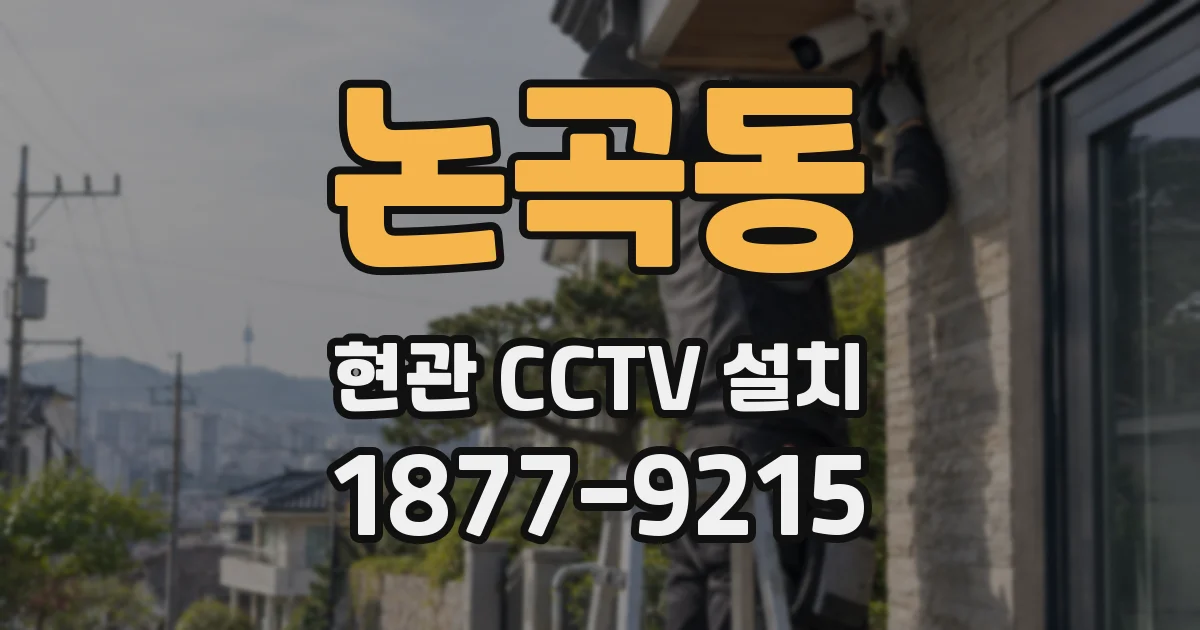 논곡동 현관 CCTV 설치
