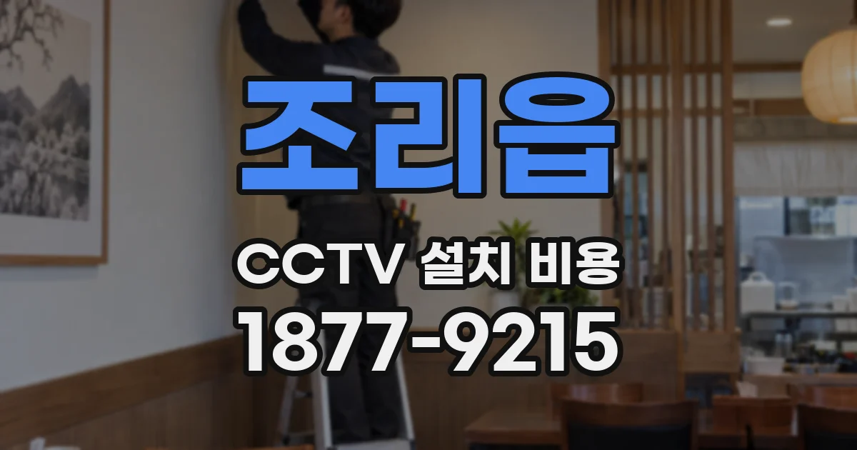 조리읍 CCTV 설치 비용