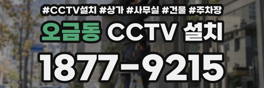 오금동 CCTV 설치