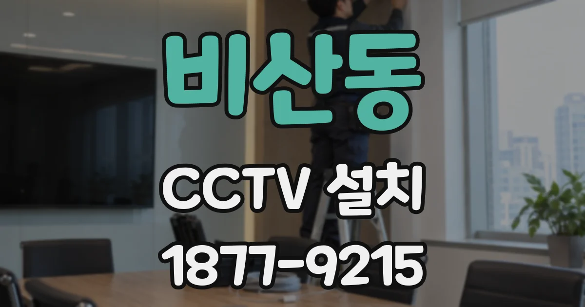 비산동 CCTV 설치