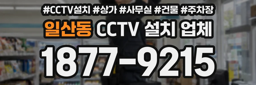 일산동 CCTV 설치 업체