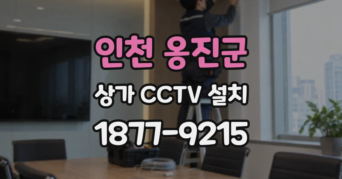 인천 옹진군 상가 CCTV 설치