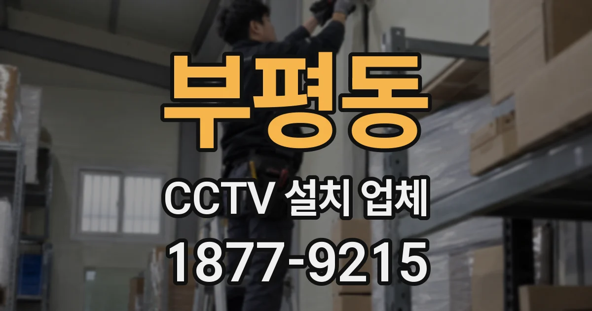 부평동 CCTV 설치 업체